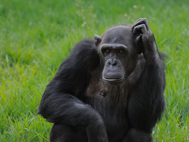 感染艾滋病病毒后会有什么症状,艾滋病病毒如何杀灭