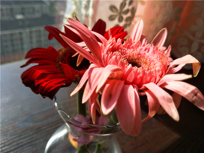 oppor9s的缺点和不足,oppor9s缺点和不足