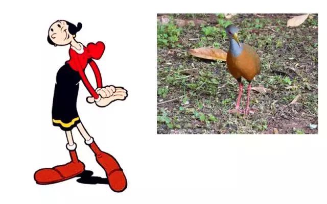 大秀完美身材维密,维密大秀时装秀