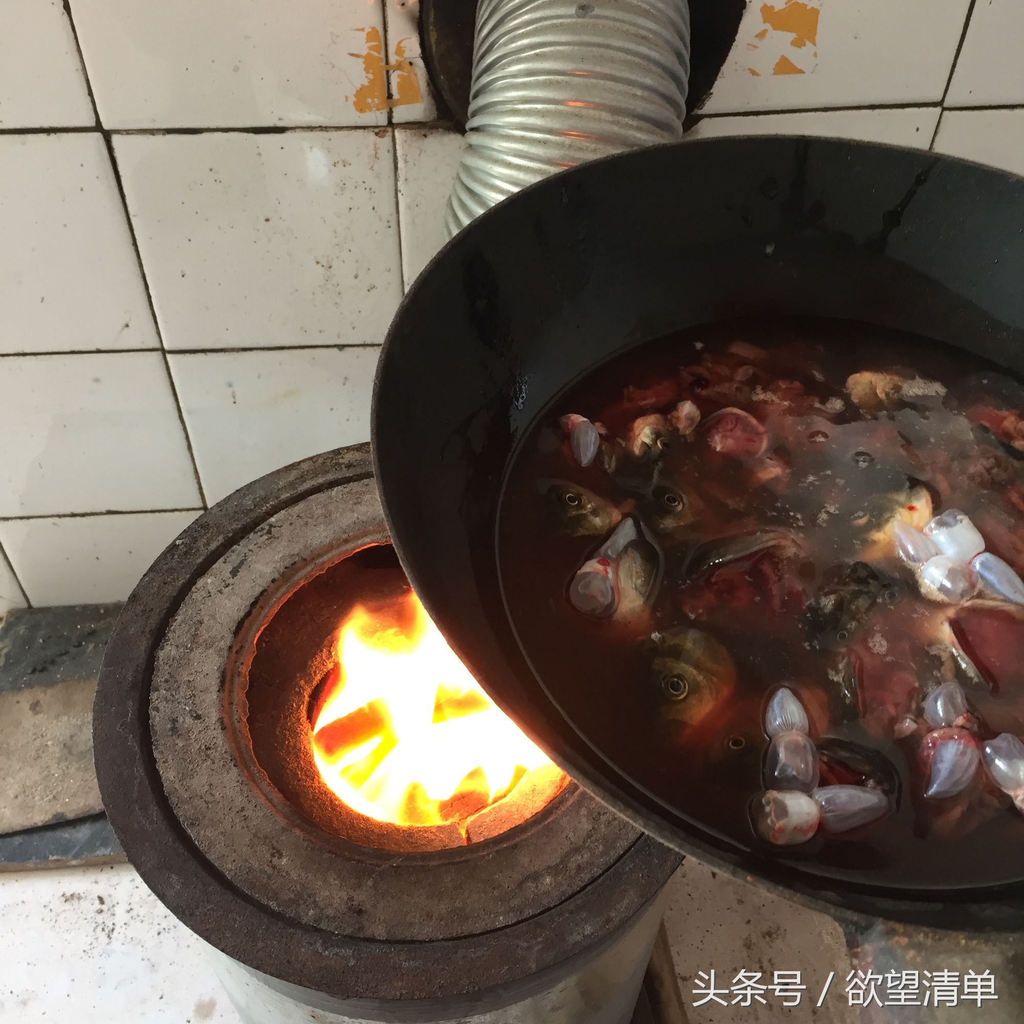 母狗生了狗崽煮什么给他吃,家里狗生了一窝小狗主人吃了