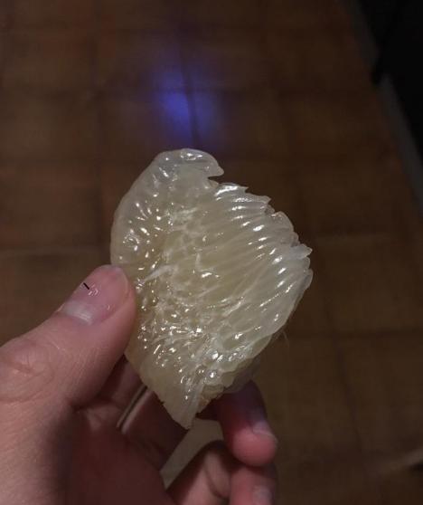 野生动物园猛兽区出逃咬死人,杭州野生动物园猛兽出逃