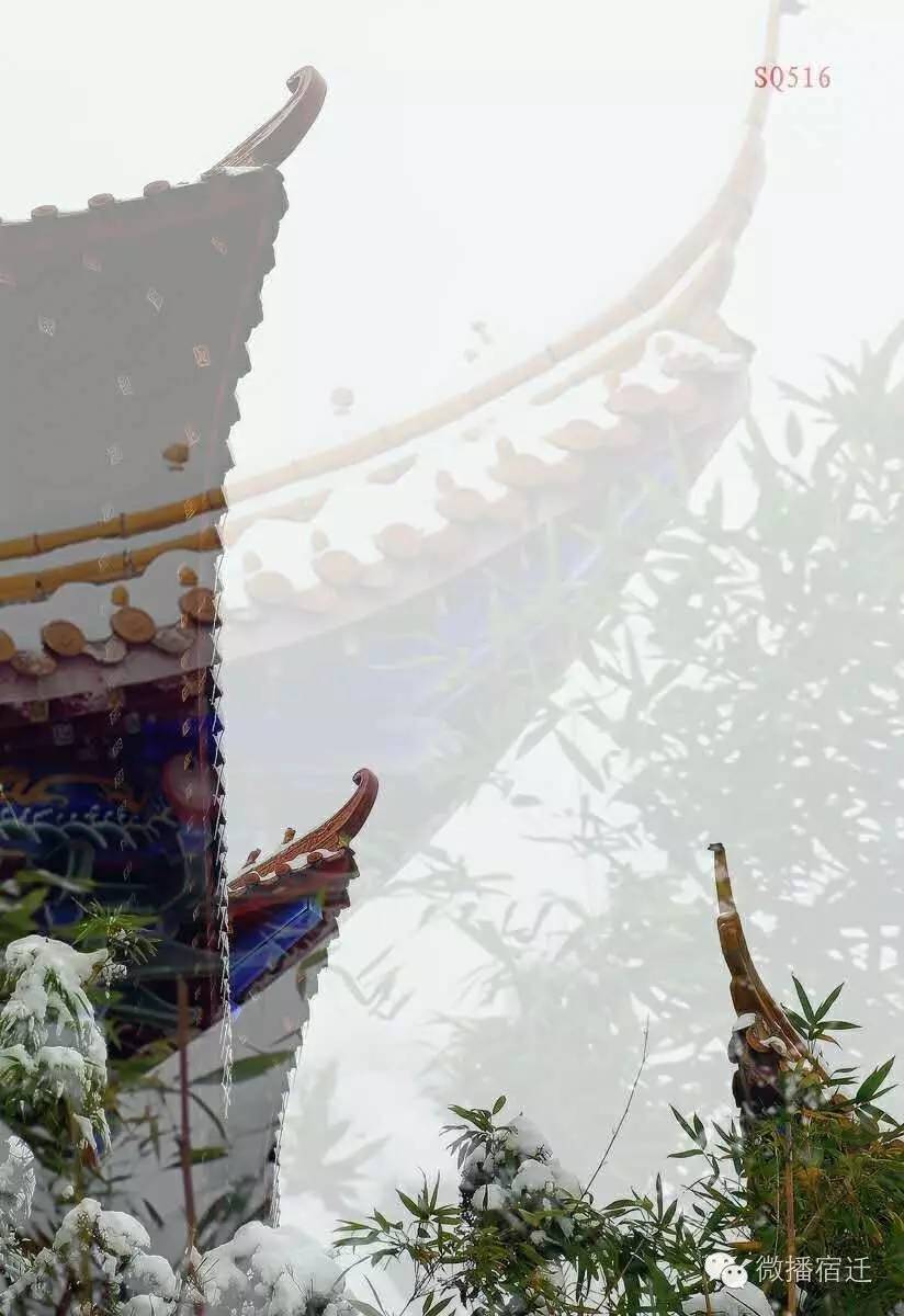 雪中宿迁，素颜都美到窒息！