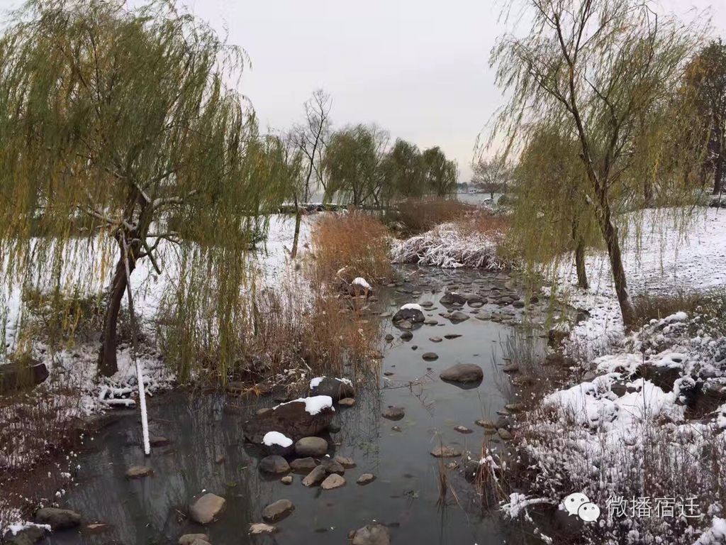 雪中宿迁，素颜都美到窒息！
