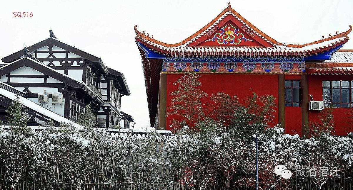 雪中宿迁，素颜都美到窒息！