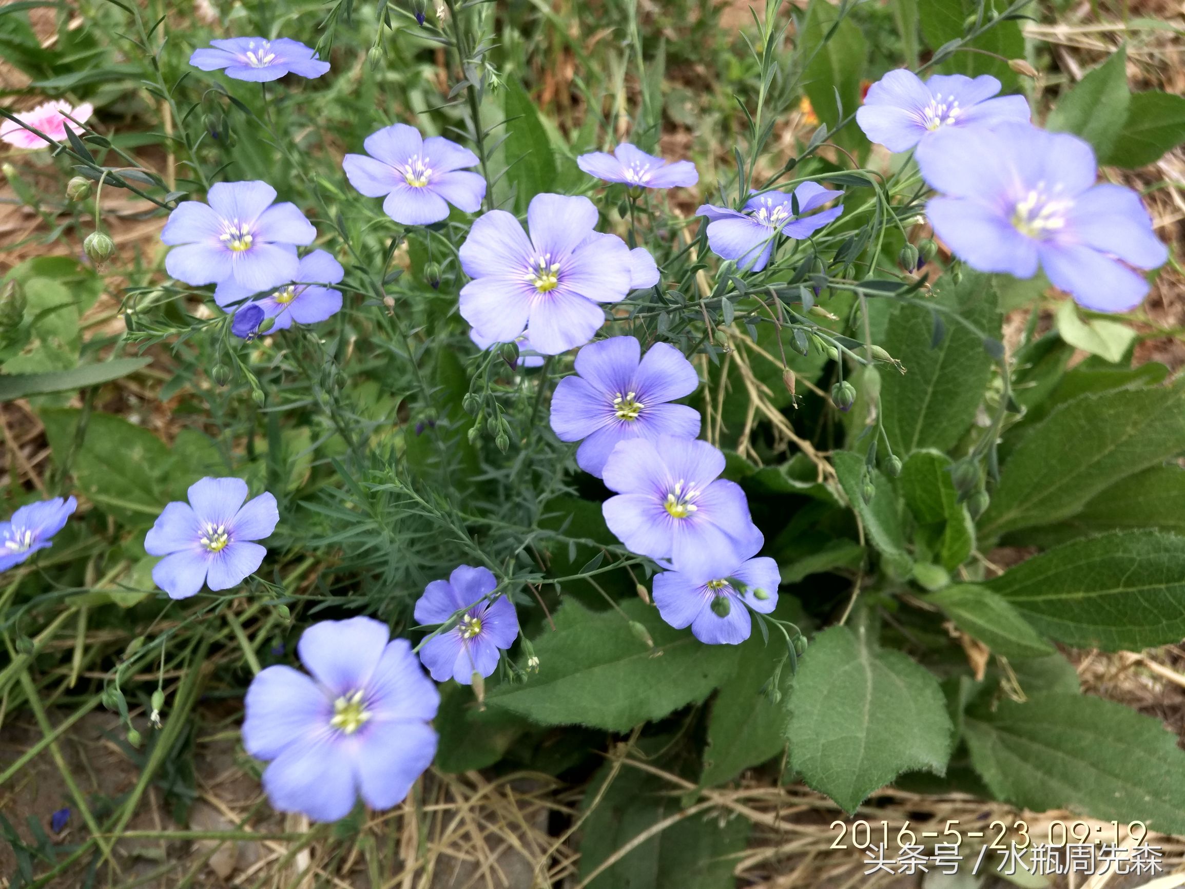 显得高大上的手机锁屏壁纸,高大上最美曲屏手机壁纸