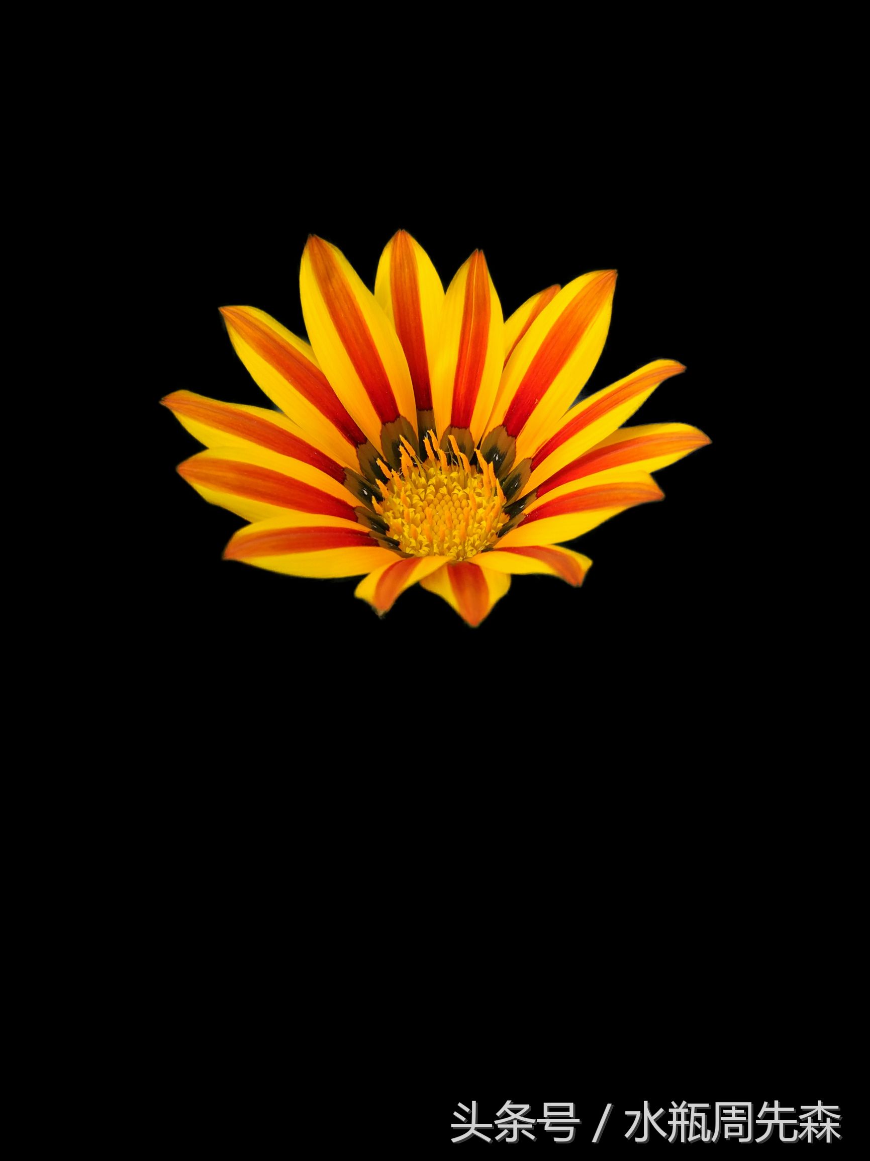 显得高大上的手机锁屏壁纸,高大上最美曲屏手机壁纸