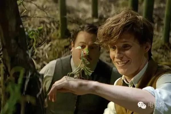 神奇动物在哪里28个彩蛋,神奇动物在哪里2结尾彩蛋