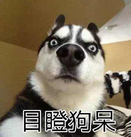 uber取消现金支付,uber停用了吗