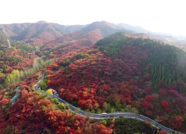 2021年济南薪资水平报告,济南工资一般是多少