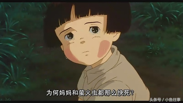 这些年让我感动流泪的电影