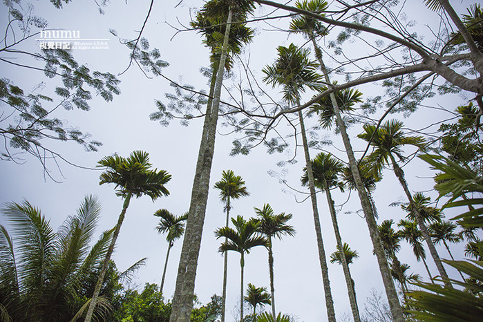 三亚第一市场怎么选海鲜,三亚第一市场海鲜在三亚哪个位置