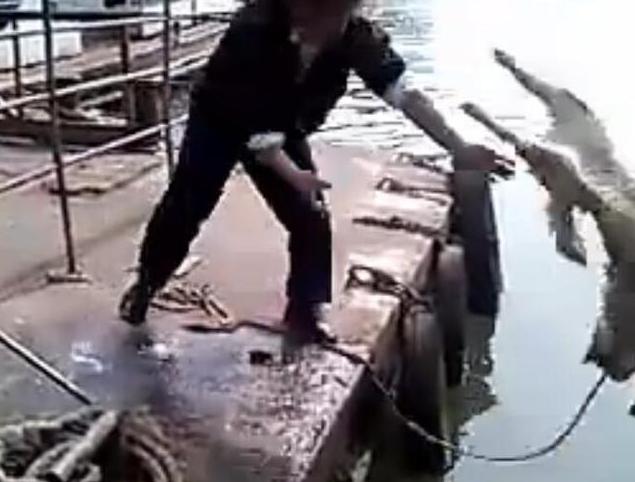 主人给狗狗洗澡溅一身水,男子给狗狗洗澡吹毛