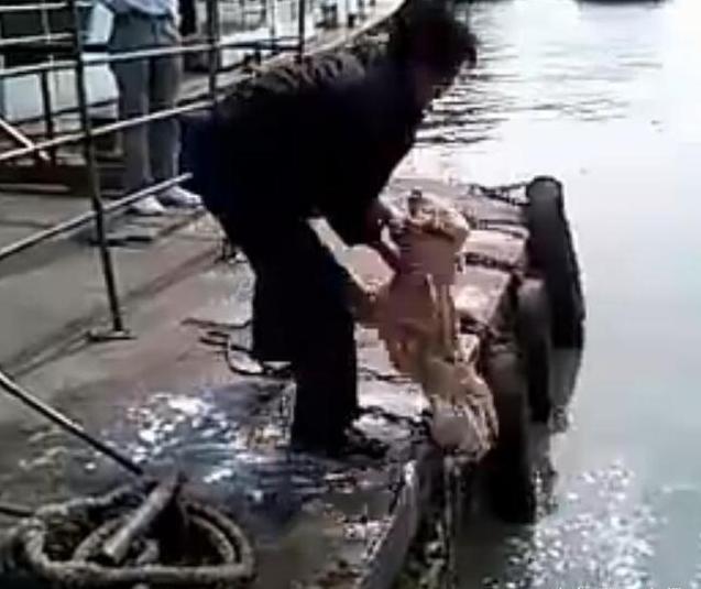 主人给狗狗洗澡溅一身水,男子给狗狗洗澡吹毛