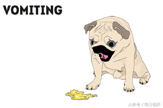 15种狗狗常见病治疗,狗狗生病了有哪些症状