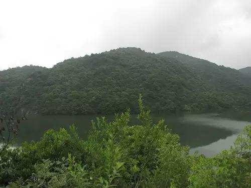 宁波大自然美轮美奂的风景,宁波最美森林