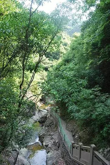 宁波大自然美轮美奂的风景,宁波最美森林