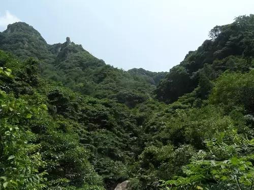 宁波大自然美轮美奂的风景,宁波最美森林