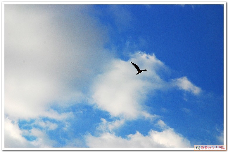 5年前的今天：初冬，如梦如幻的浅水湾（原乐亭辖区）