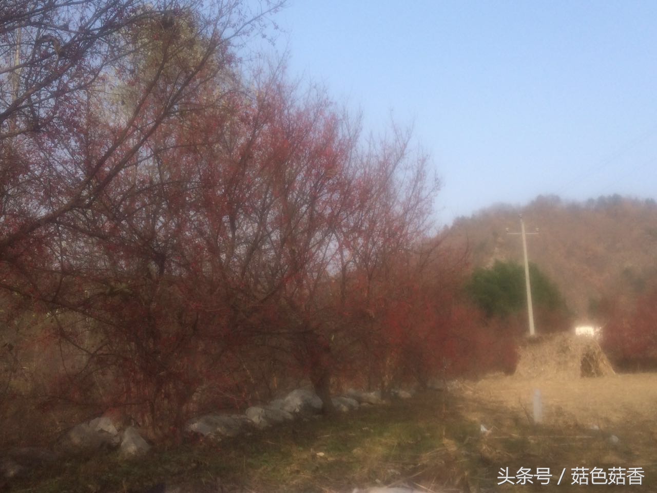 冲击钻三个功能各有什么用,冲击钻作用有哪些