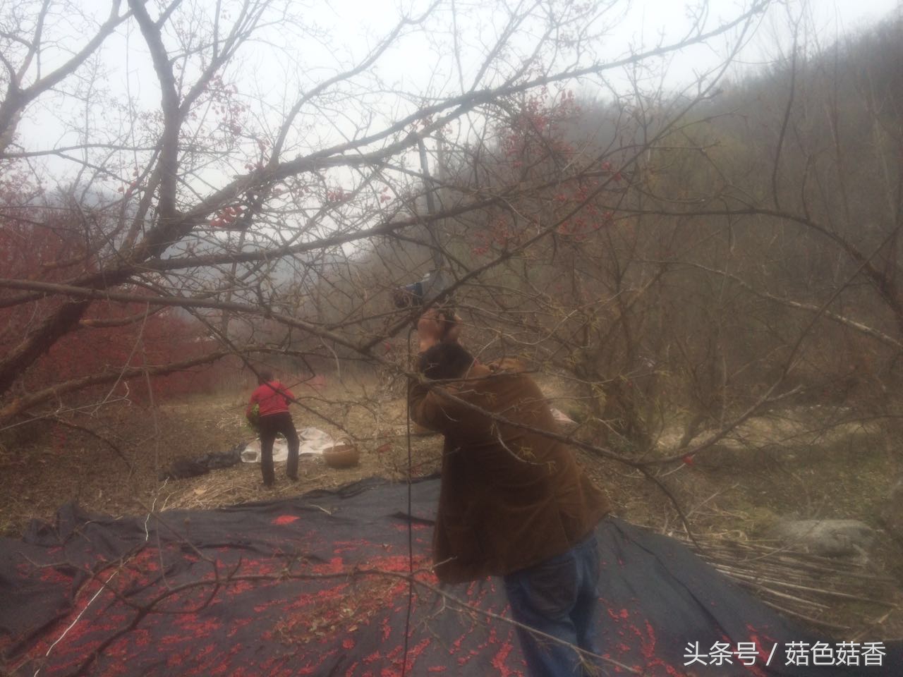 冲击钻三个功能各有什么用,冲击钻作用有哪些