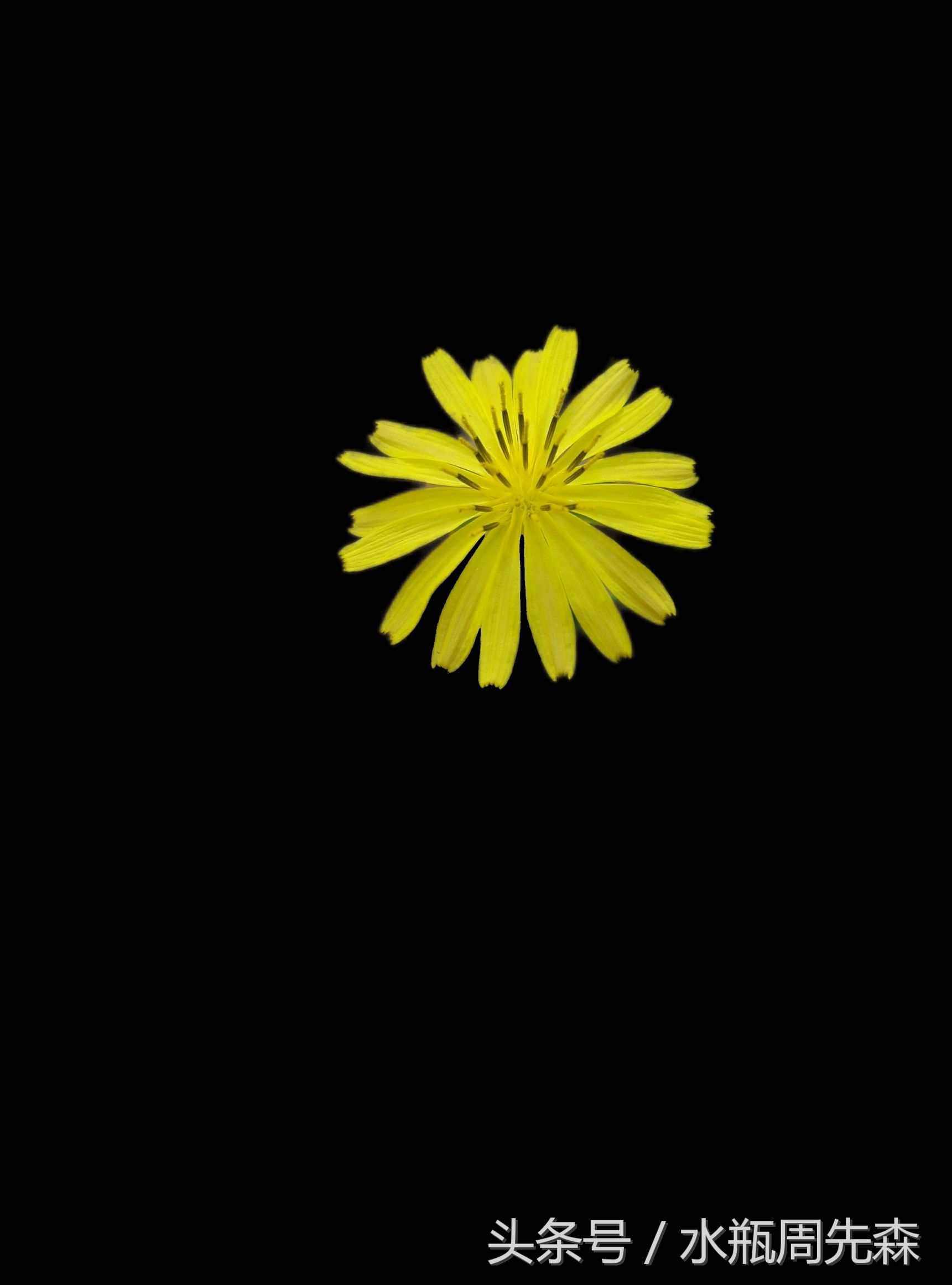 显得高大上的手机锁屏壁纸,高大上最美曲屏手机壁纸