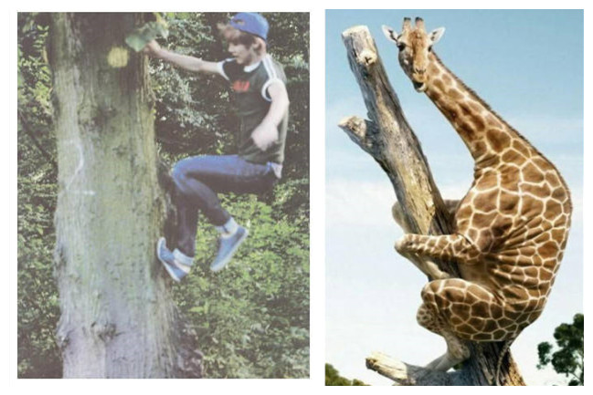 鹿晗被小学生跟拍,鹿晗人气现场吓到明星们