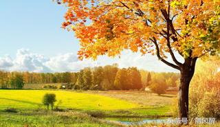 也许我不怕伤，才念念不忘