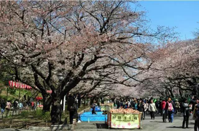 从西安去日本旅游要多少钱,怎么去日本东京最便宜