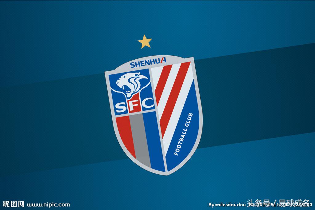 中国所有的队徽,各个国家队队徽星数