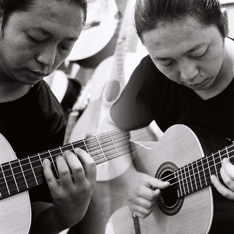 他是一只孤独的狼表达了什么,他是一匹狼