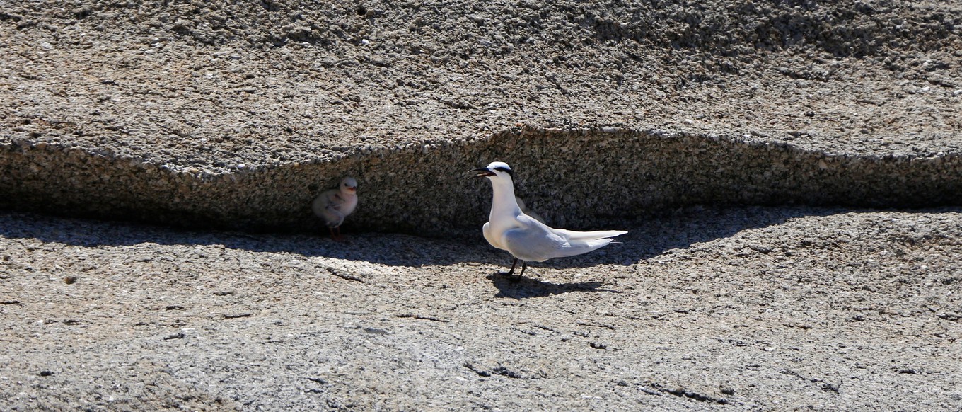 说走就走的三亚行,一场说走就走的三亚之旅