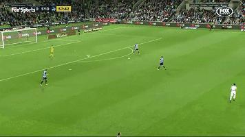 悉尼一只海鸥误入足球赛场，被一球打晕后，成了全场焦点……