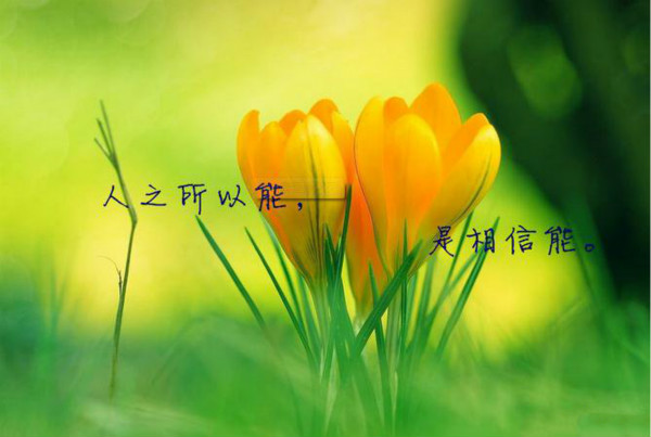 过年了客户还是拖欠货款怎么办,对付客户拖欠货款技巧