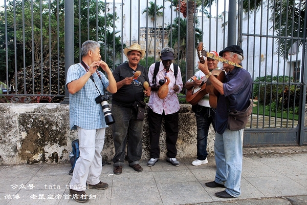 what鏃呰鏃呮父,what鏃呮父