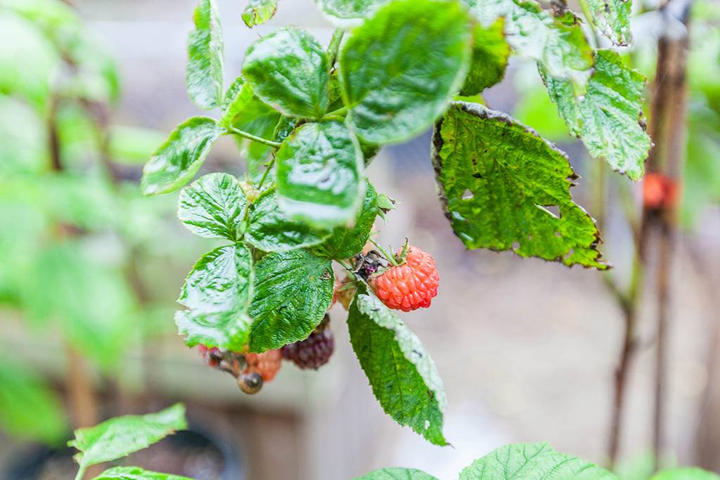 距离杭州仅30公里车程,距离杭州一小时车程的景点