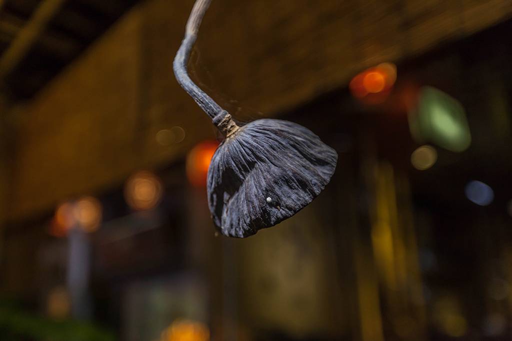 距离杭州仅30公里车程,距离杭州一小时车程的景点