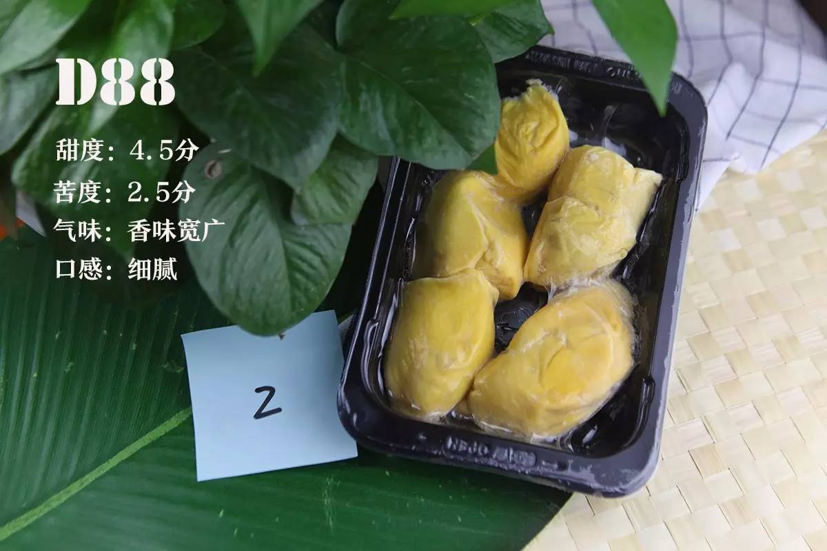 马来西亚猫山王榴莲d197开放进口,泰国榴莲品种十大排名猫山王榴莲