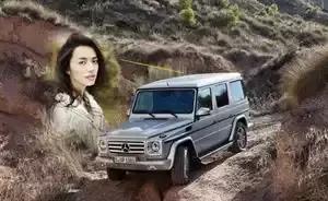 中国十大明星的座驾,中国十大女强人座驾