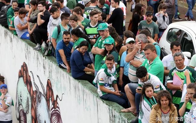 巴西球迷的期待与遗憾,巴西队巴西球迷痛哭