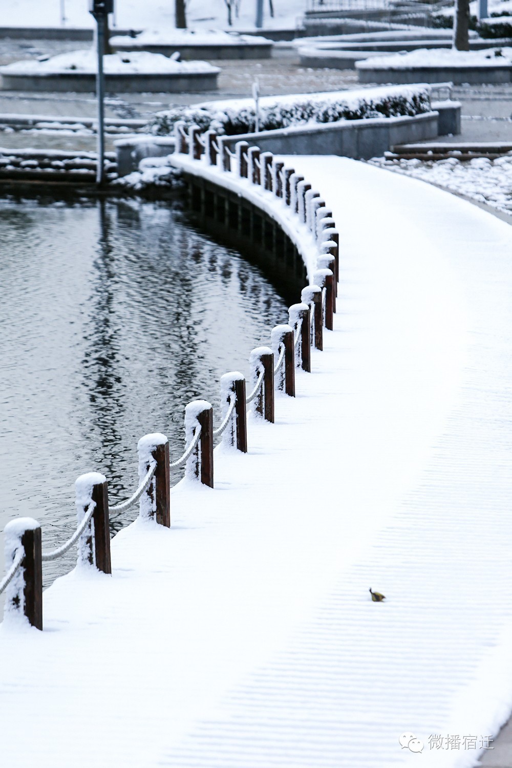 雪中宿迁，素颜都美到窒息！