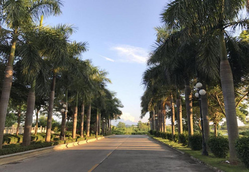 金三角的始末,真实历史解密金三角