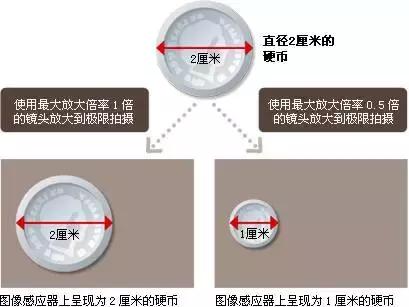 摄影被轻忽的参数,对焦距离对摄影有什么影响