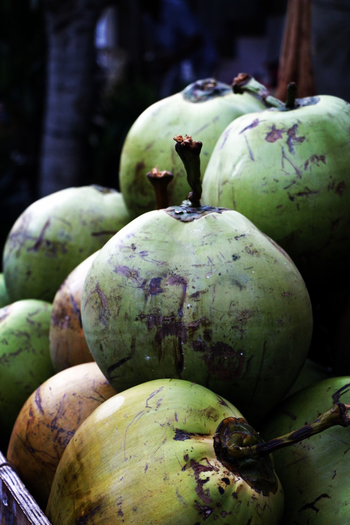 说走就走的三亚行,一场说走就走的三亚之旅