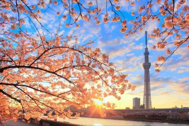 从西安去日本旅游要多少钱,怎么去日本东京最便宜