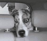 最新抽检面膜不合格上了黑榜辣！你用的有没有上榜呢？