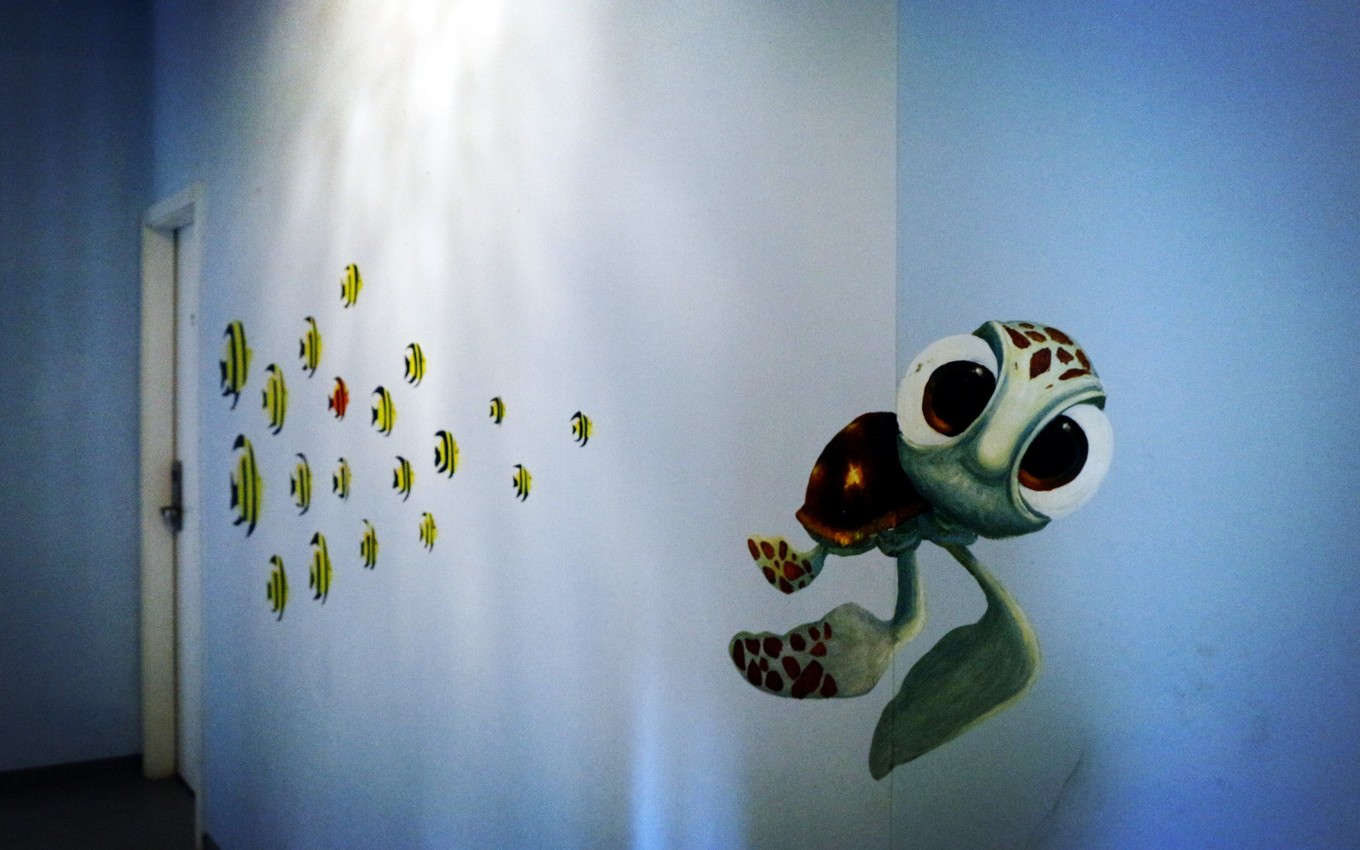 说走就走的三亚行,一场说走就走的三亚之旅