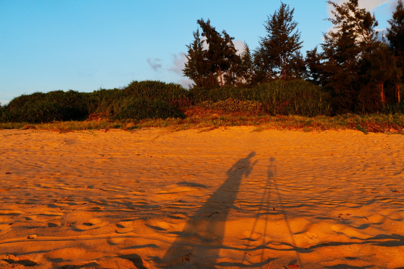 说走就走的三亚行,一场说走就走的三亚之旅