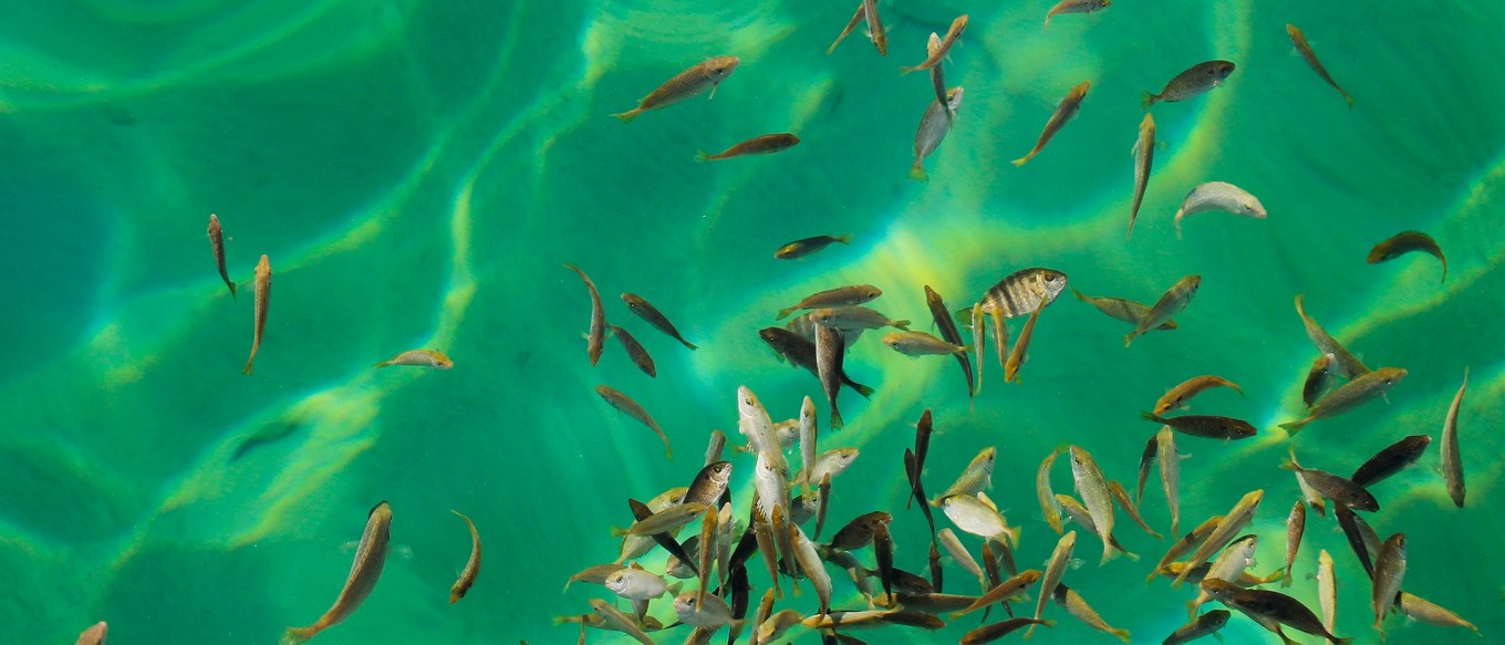 说走就走的三亚行,一场说走就走的三亚之旅