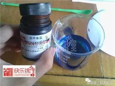 那些你不知道的副业,那些你不知道的观赏鱼