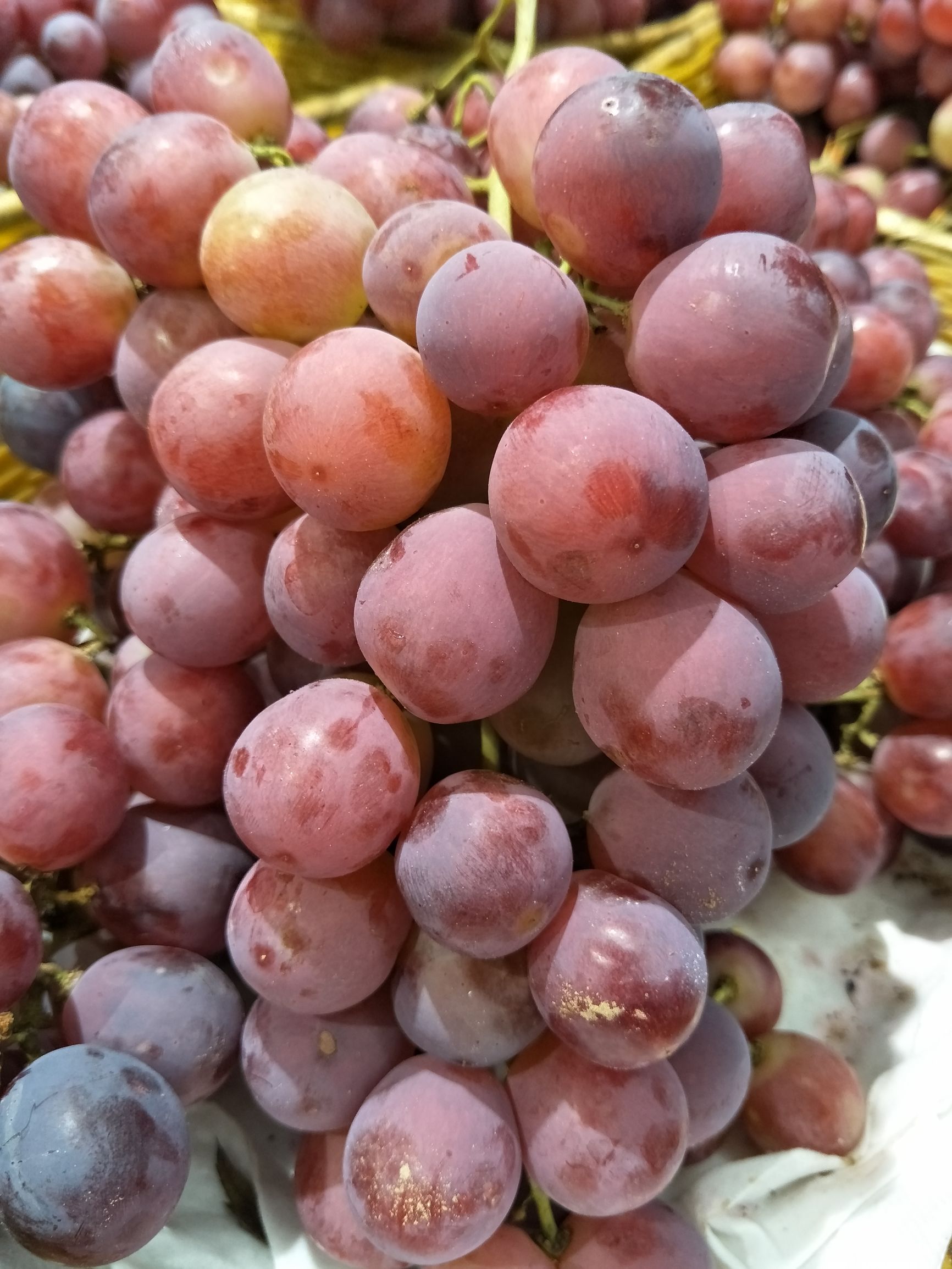 oppopad值不值得入手,oppor9s到底值不值得入手